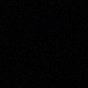 Meet your Posher, Dustin